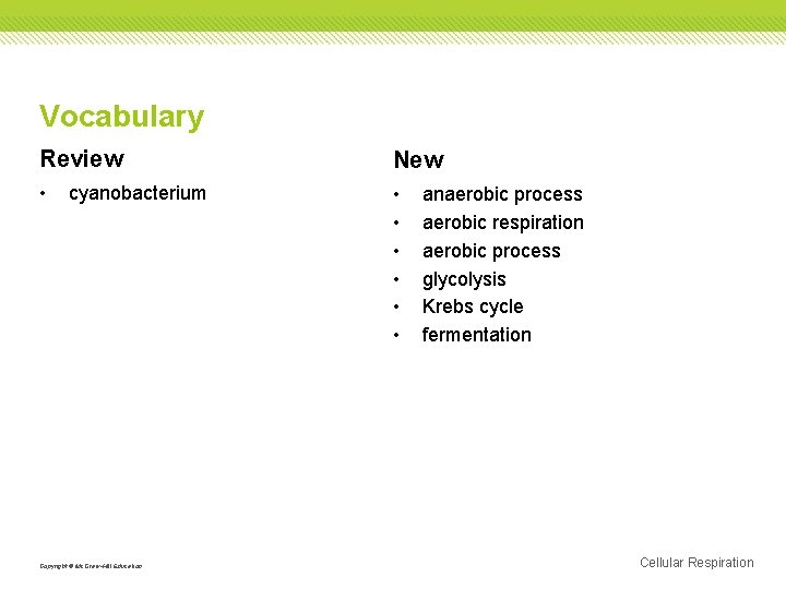 Vocabulary Review New • • cyanobacterium Copyright © Mc. Graw-Hill Education anaerobic process aerobic