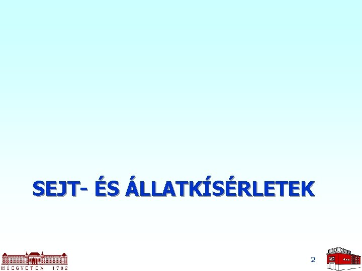 SEJT- ÉS ÁLLATKÍSÉRLETEK 2 