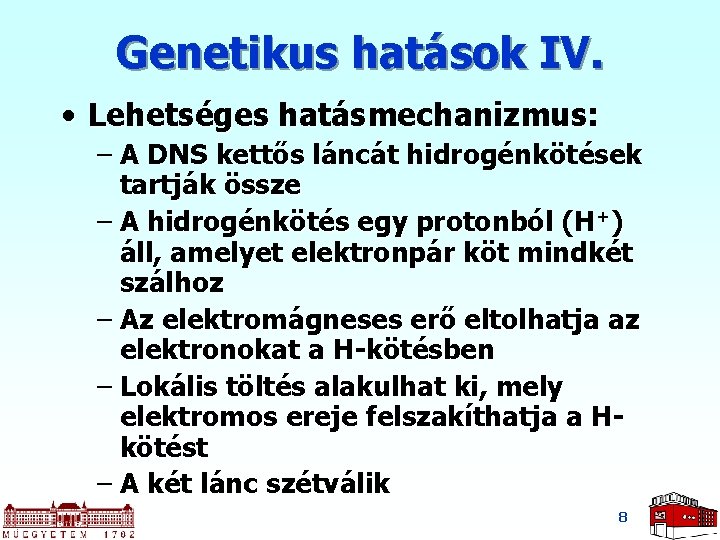 Genetikus hatások IV. • Lehetséges hatásmechanizmus: – A DNS kettős láncát hidrogénkötések tartják össze