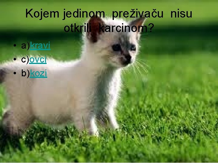 Kojem jedinom preživaču nisu otkrili karcinom? • a)kravi • c)ovci • b)kozi 