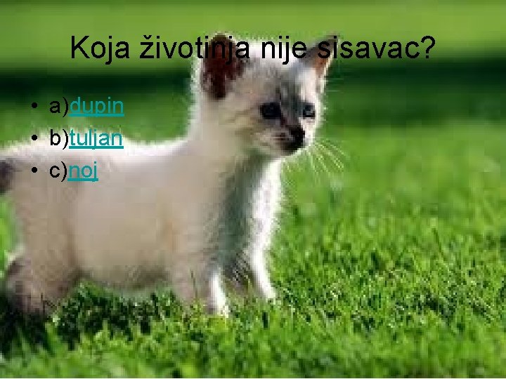 Koja životinja nije sisavac? • a)dupin • b)tuljan • c)noj 