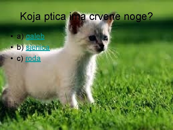 Koja ptica ima crvene noge? • a) galeb • b) sjenica • c) roda