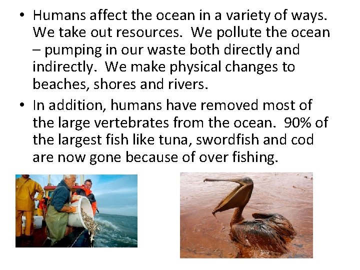  • Humans affect the ocean in a variety of ways. We take out