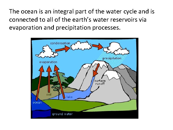 The ocean is an integral part of the water cycle and is connected to