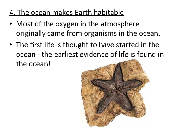 4. The ocean makes Earth habitable • Most of the oxygen in the atmosphere