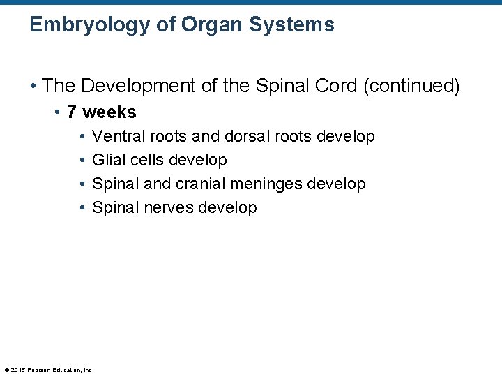Embryology of Organ Systems • The Development of the Spinal Cord (continued) • 7