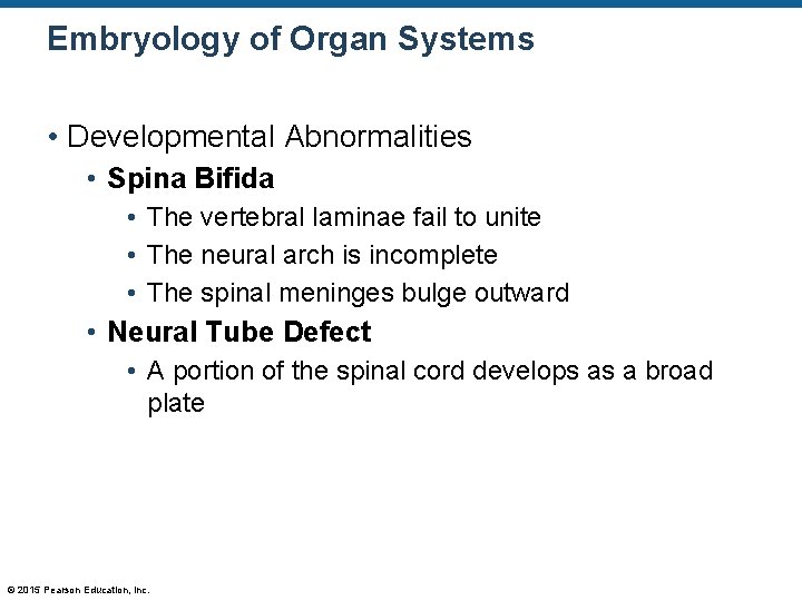 Embryology of Organ Systems • Developmental Abnormalities • Spina Bifida • The vertebral laminae