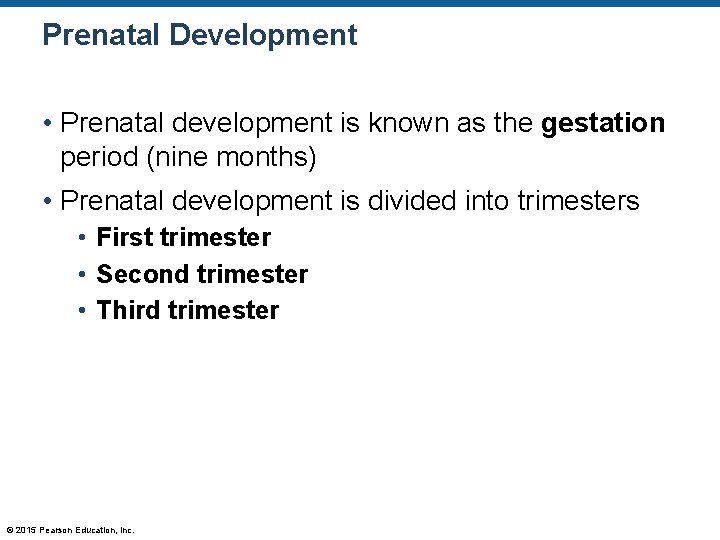 Prenatal Development • Prenatal development is known as the gestation period (nine months) •