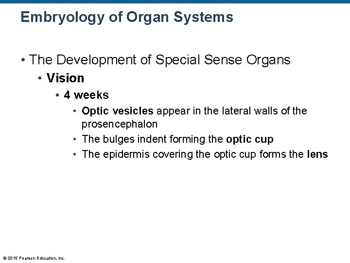 Embryology of Organ Systems • The Development of Special Sense Organs • Vision •