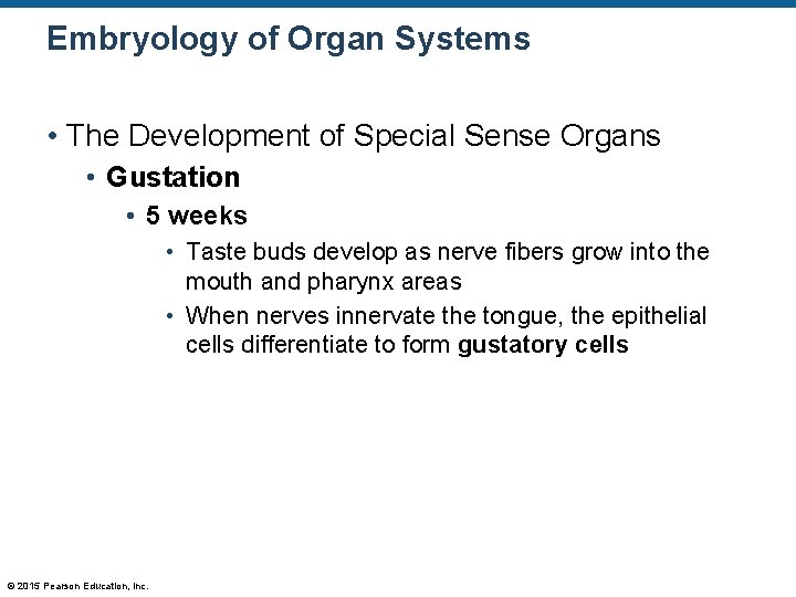 Embryology of Organ Systems • The Development of Special Sense Organs • Gustation •