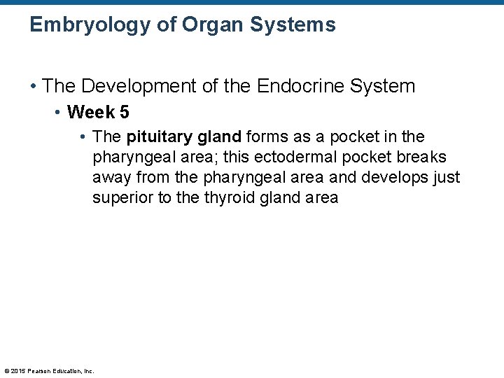 Embryology of Organ Systems • The Development of the Endocrine System • Week 5