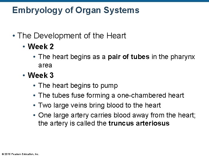 Embryology of Organ Systems • The Development of the Heart • Week 2 •