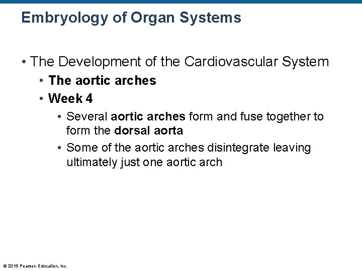 Embryology of Organ Systems • The Development of the Cardiovascular System • The aortic