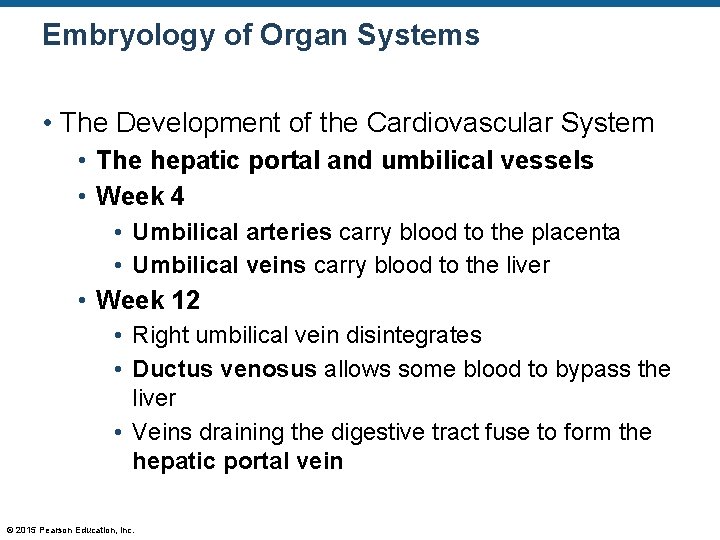 Embryology of Organ Systems • The Development of the Cardiovascular System • The hepatic