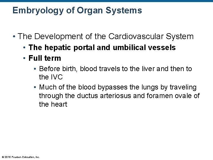 Embryology of Organ Systems • The Development of the Cardiovascular System • The hepatic