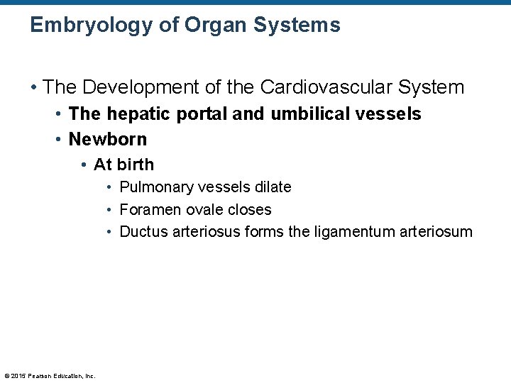 Embryology of Organ Systems • The Development of the Cardiovascular System • The hepatic