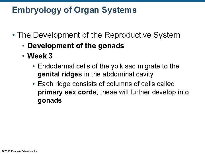 Embryology of Organ Systems • The Development of the Reproductive System • Development of