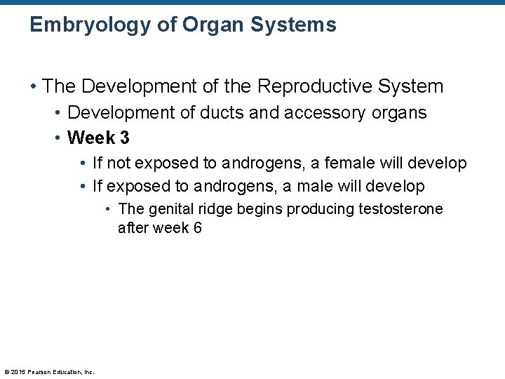 Embryology of Organ Systems • The Development of the Reproductive System • Development of
