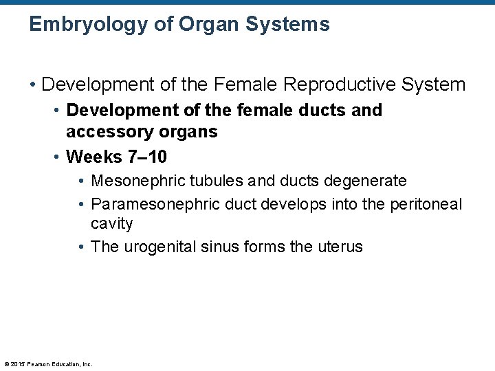 Embryology of Organ Systems • Development of the Female Reproductive System • Development of