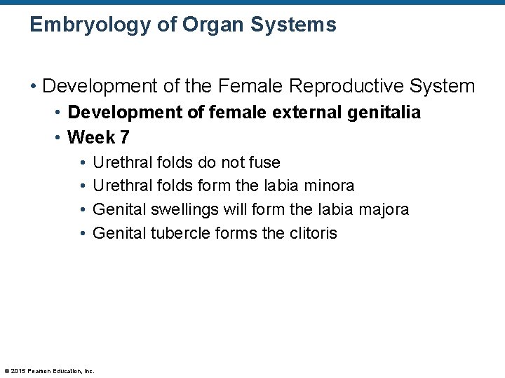 Embryology of Organ Systems • Development of the Female Reproductive System • Development of