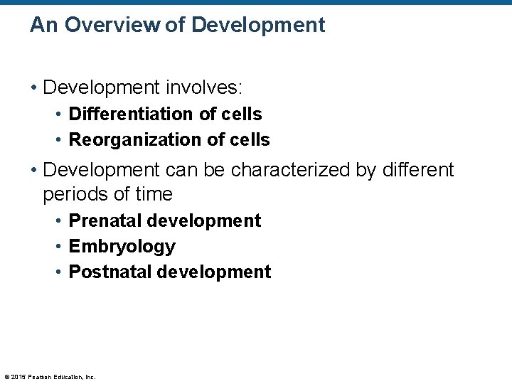 An Overview of Development • Development involves: • Differentiation of cells • Reorganization of