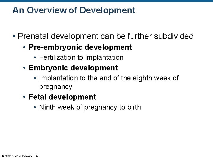 An Overview of Development • Prenatal development can be further subdivided • Pre-embryonic development