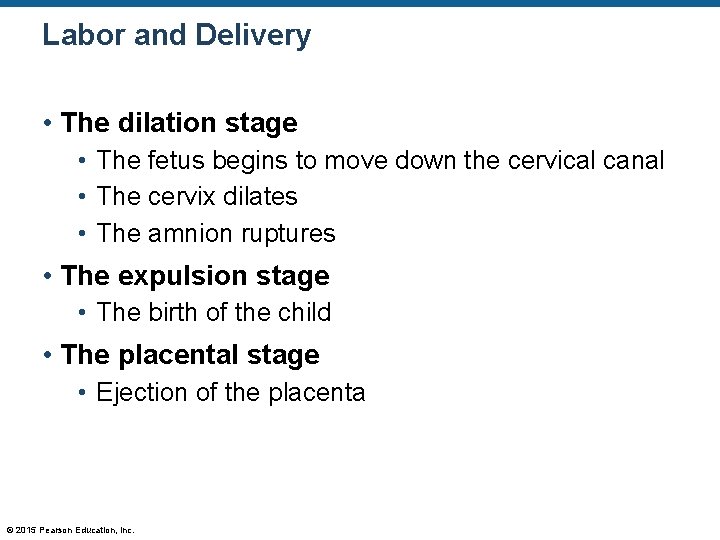 Labor and Delivery • The dilation stage • The fetus begins to move down