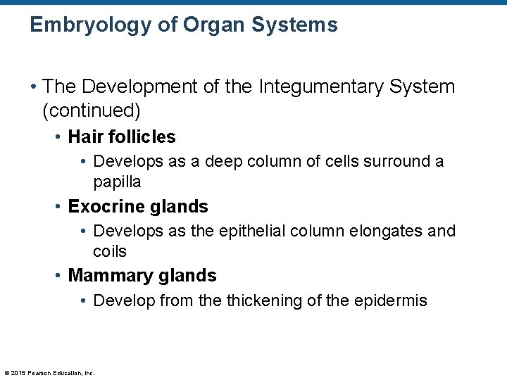 Embryology of Organ Systems • The Development of the Integumentary System (continued) • Hair