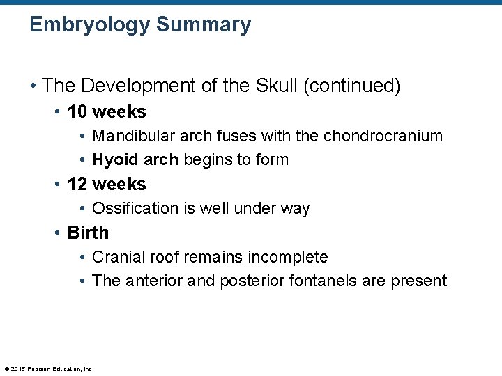 Embryology Summary • The Development of the Skull (continued) • 10 weeks • Mandibular