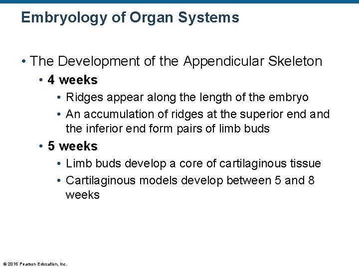 Embryology of Organ Systems • The Development of the Appendicular Skeleton • 4 weeks