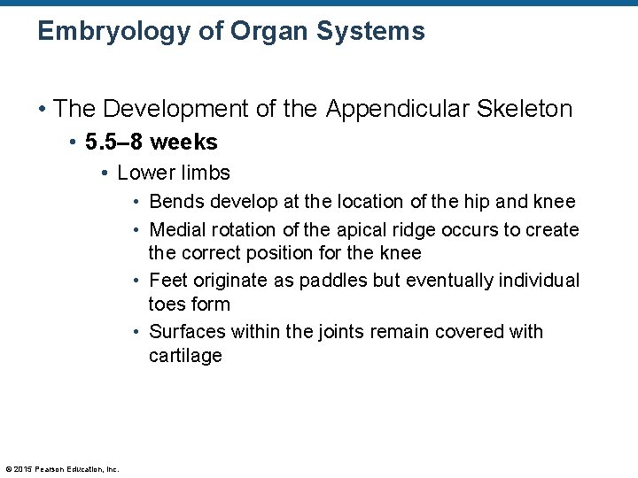 Embryology of Organ Systems • The Development of the Appendicular Skeleton • 5. 5–