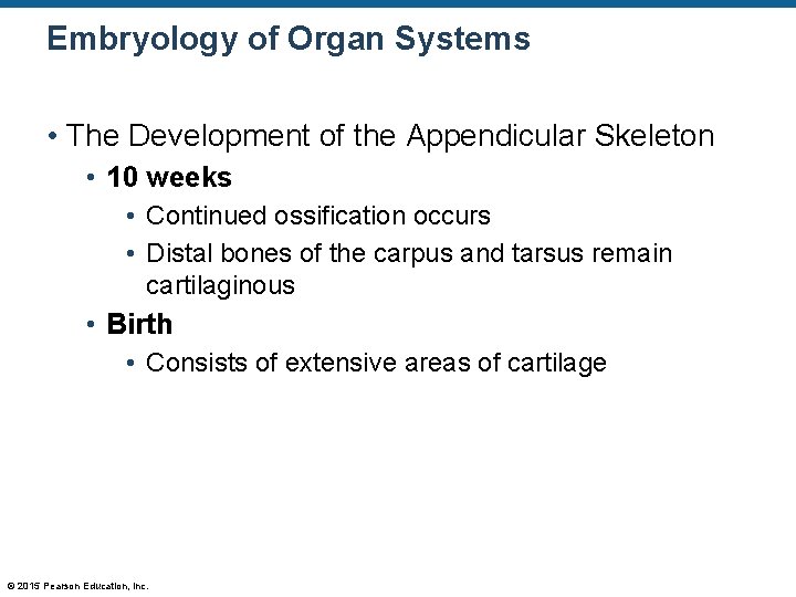 Embryology of Organ Systems • The Development of the Appendicular Skeleton • 10 weeks