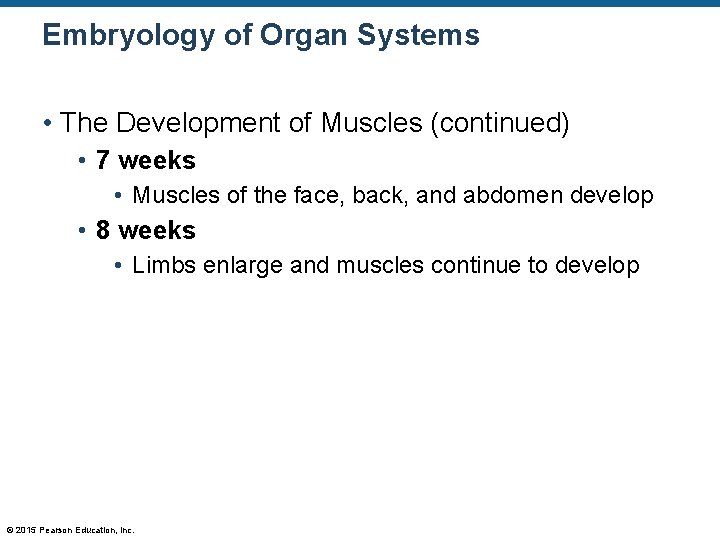 Embryology of Organ Systems • The Development of Muscles (continued) • 7 weeks •