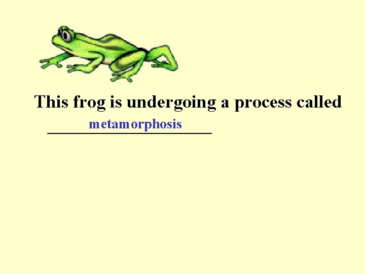 This frog is undergoing a process called metamorphosis _________ 