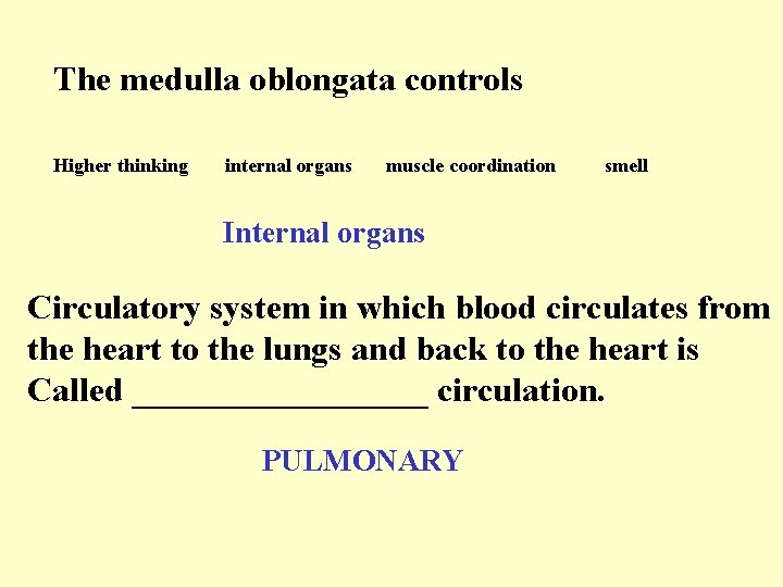 The medulla oblongata controls Higher thinking internal organs muscle coordination smell Internal organs Circulatory