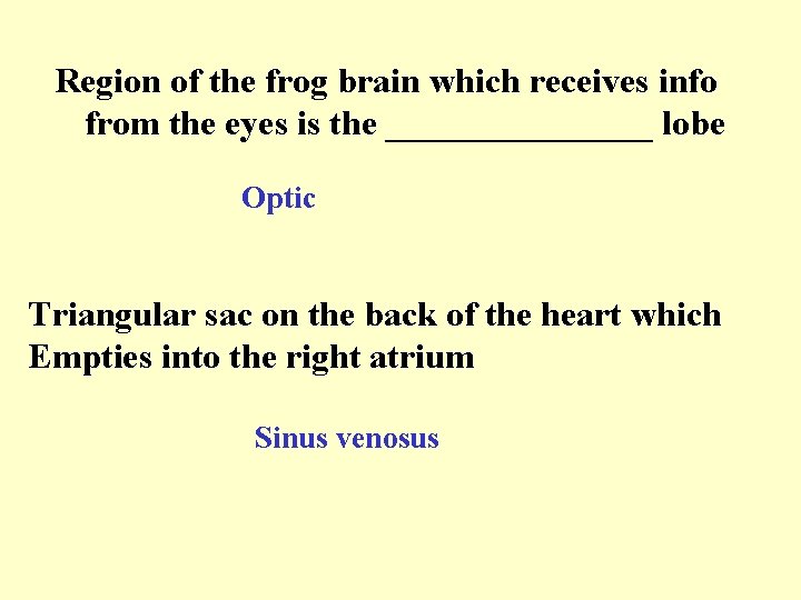 Region of the frog brain which receives info from the eyes is the ________