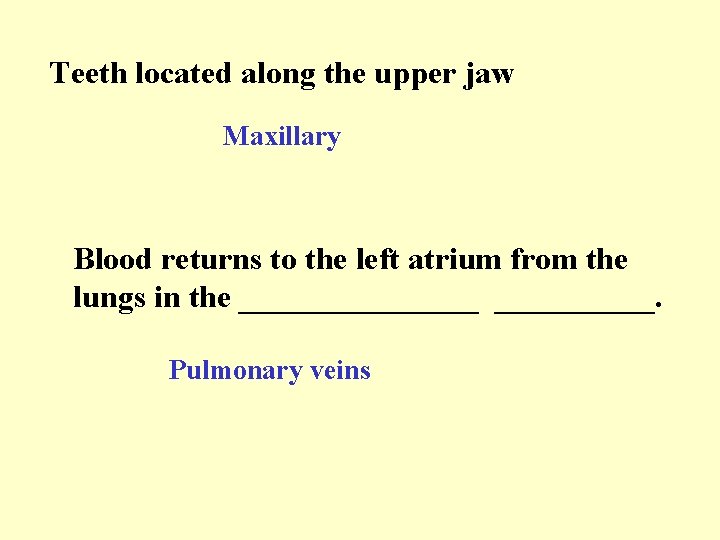 Teeth located along the upper jaw Maxillary Blood returns to the left atrium from