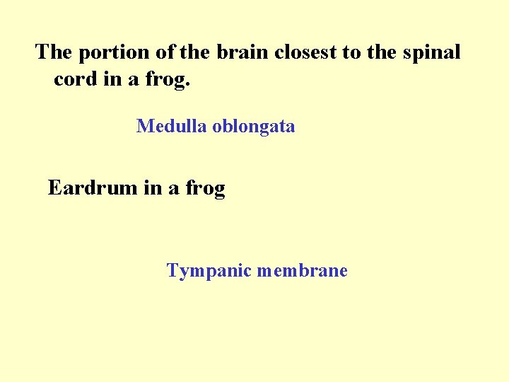 The portion of the brain closest to the spinal cord in a frog. Medulla