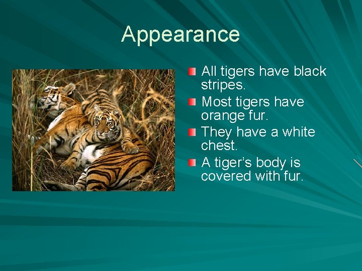 Appearance All tigers have black stripes. Most tigers have orange fur. They have a
