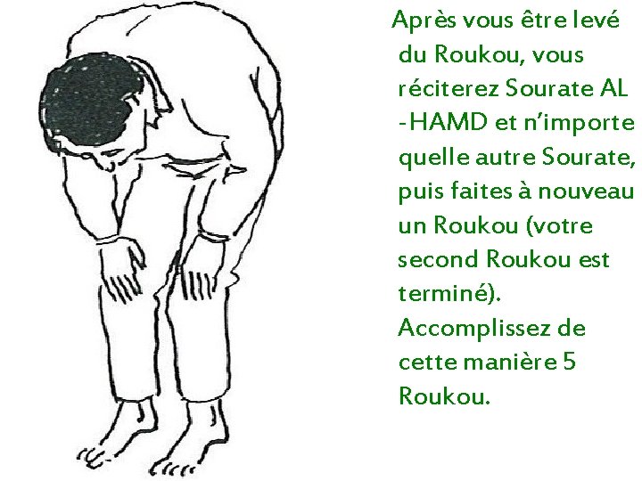 Après vous être levé du Roukou, vous réciterez Sourate AL -HAMD et n’importe quelle