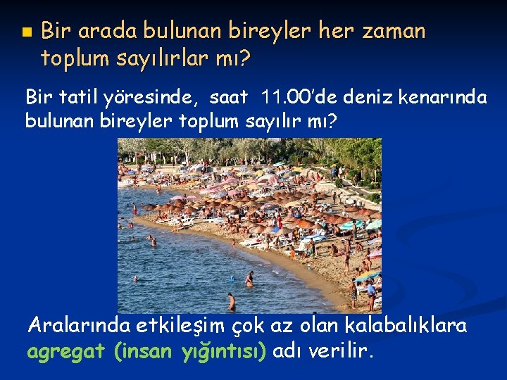 n Bir arada bulunan bireyler her zaman toplum sayılırlar mı? Bir tatil yöresinde, saat