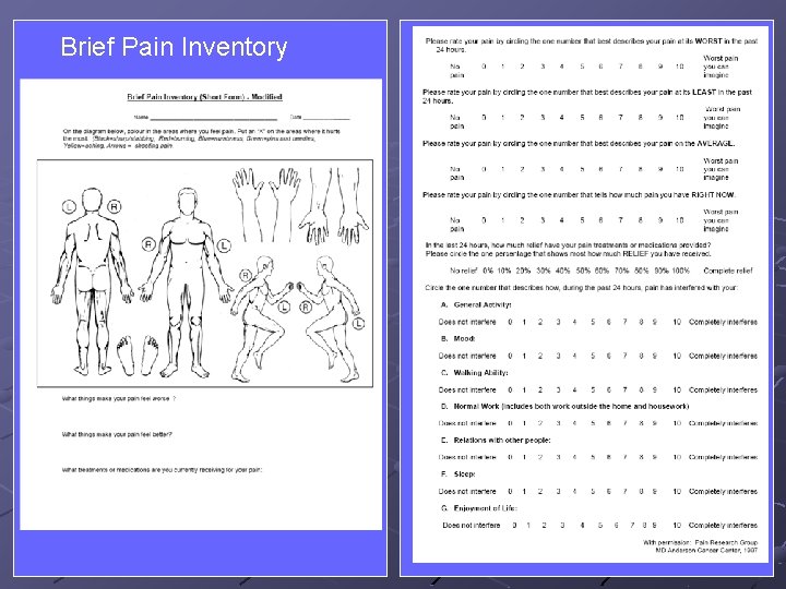 Brief Pain Inventory 