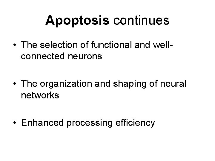 Apoptosis continues • The selection of functional and wellconnected neurons • The organization and