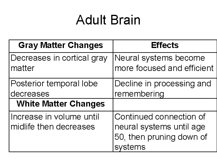 Adult Brain Gray Matter Changes Effects Decreases in cortical gray Neural systems become matter