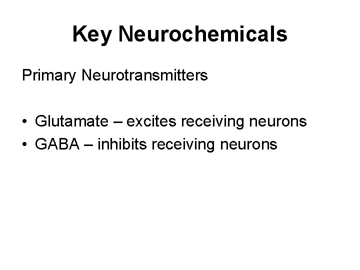 Key Neurochemicals Primary Neurotransmitters • Glutamate – excites receiving neurons • GABA – inhibits