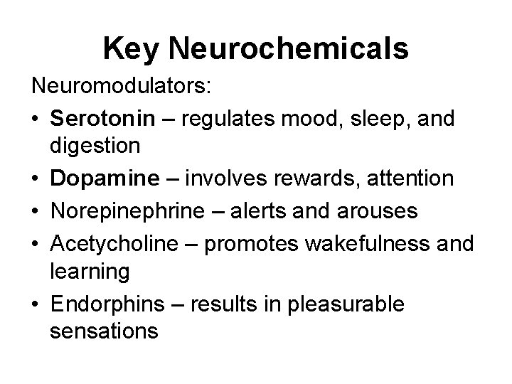 Key Neurochemicals Neuromodulators: • Serotonin – regulates mood, sleep, and digestion • Dopamine –
