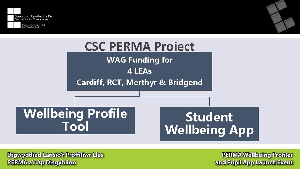 CSC PERMA Project WAG Funding for 4 LEAs Cardiff, RCT, Merthyr & Bridgend Wellbeing