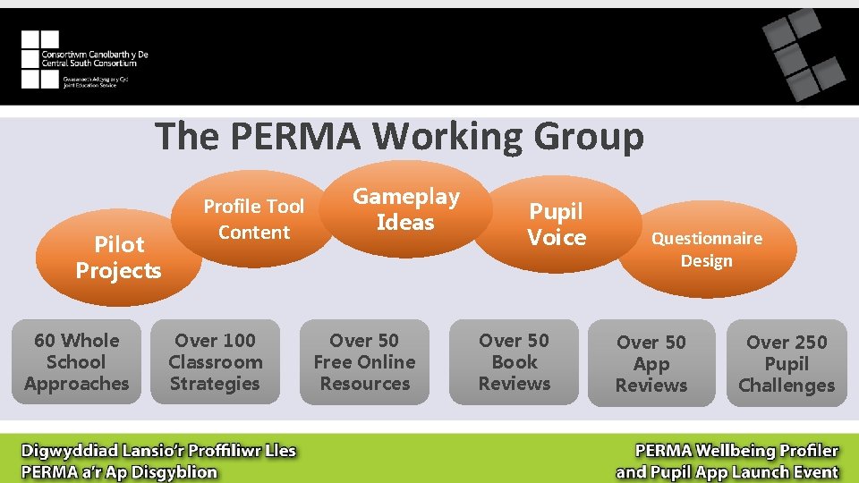 The PERMA Working Group Pilot Projects 60 Whole School Approaches Profile Tool Content Over