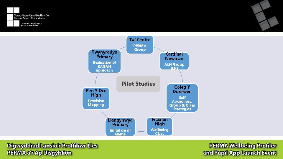 Tai Centre PERMA Group Twynyrodyn Primary Cardinal Newman Evaluation of KAGAN approach ALN Group