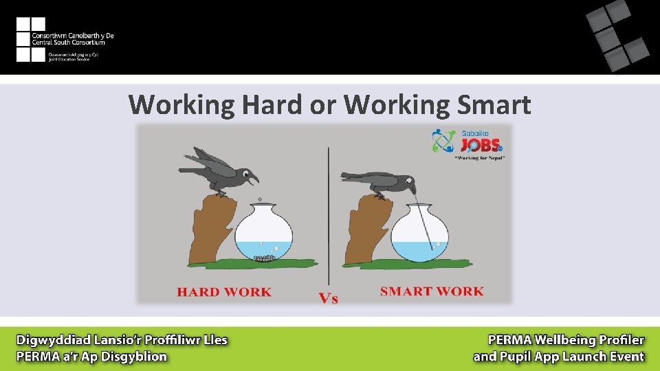 Working Hard or Working Smart 